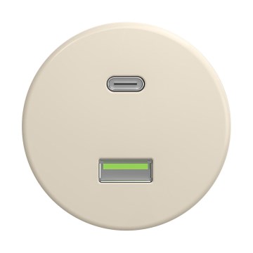 Reblig - Retro-USB-Steckdose A+C rahmenlos beige
