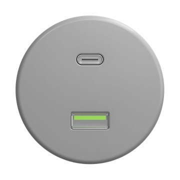 Reblig - Retro-USB-Steckdose A+C rahmenlos grau