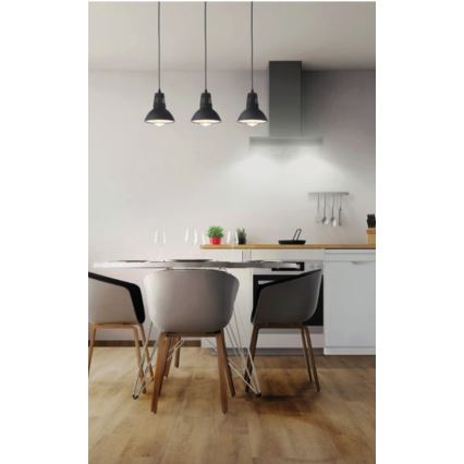 Redo 01-1279 - Pendelleuchte an Kabel PEEP 1xE27/42W/230V Ø 16,5 cm schwarz