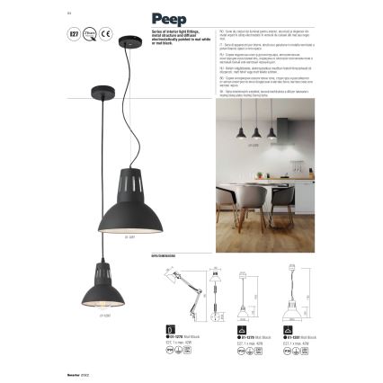 Redo 01-1279 - Pendelleuchte an Kabel PEEP 1xE27/42W/230V Ø 16,5 cm schwarz