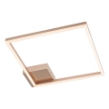 Redo 01-1639 - LED-dimmbare Deckenleuchte KLEE LED/30W/230V 45x45 cm goldfarben