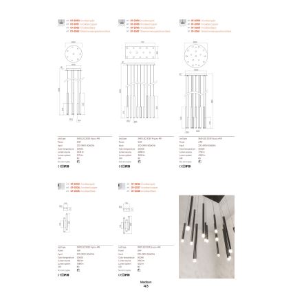 Redo 01-2034 - LED-Wandbeleuchtung MADISON 4xLED/4W/230V kupfern