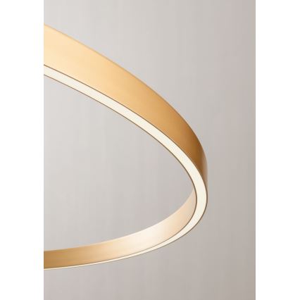 Redo 01-2835 - Dimmbare LED-Wandleuchte FEBE LED/24W/230V gold