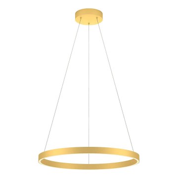 Redo 01-2865 - Dimmbare LED-Hängeleuchte an Schnur FEBE LED/37W/230V golden