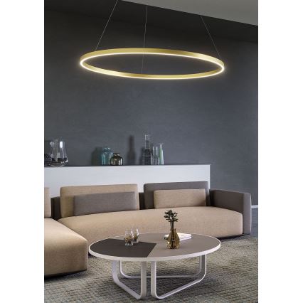 Redo 01-2865 - LED-dimmbare Seilpendelleuchte FEBE LED/37W/230V goldfarben