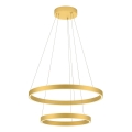 Redo 01-2889 - Dimmbare LED-Hängeleuchte an Schnur FEBE LED/62W/230V golden