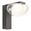 Redo 01-3242 - LED Wandleuchte SINCLAIR LED/6,5W/230V CRI 93 IP21 schwarz