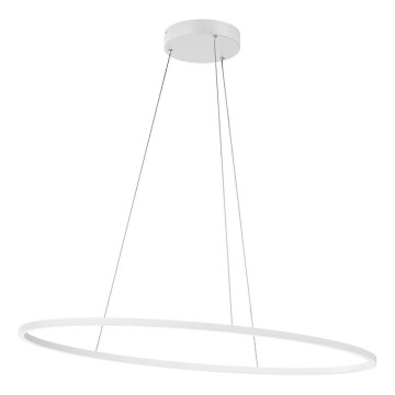 Redo 01-3337 - LED dimmbare Pendelleuchte an Kabel LEO LED/48W/230V 3000/4000K CRI 90 weiß