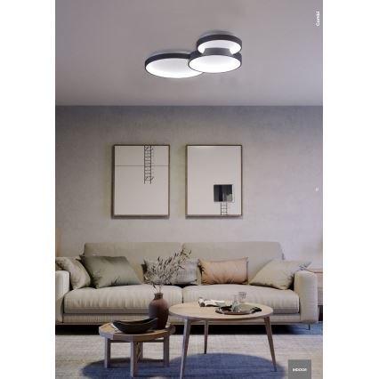 Redo 01-3372 - LED dimmbares Deckenleuchte COMBI LED/50W/230V 3000/4000/6000K CRI98 schwarz