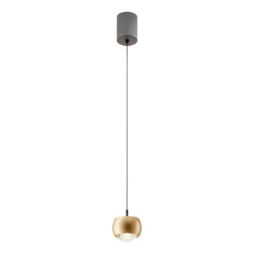 Redo 01-3547 - LED-Hängeleuchte AVES LED/12W/230V d 9,6 cm CRI 90 golden