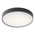Redo 90156 - LED-Deckenleuchte für den Außenbereich PONZA LED/18W/230V d 30 cm IP65