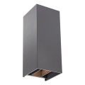 Redo 90636 - LED-Outdoor-Wandleuchte SONNY 2xLED/5W/230V 2200/3000/4000K IP54 anthrazit