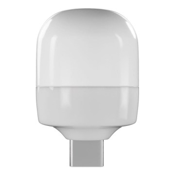 Retlux - LED-Taschenlampe LED/0,3W/USB