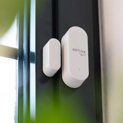 Intelligenter Fenster- und Türsensor 2xAAA