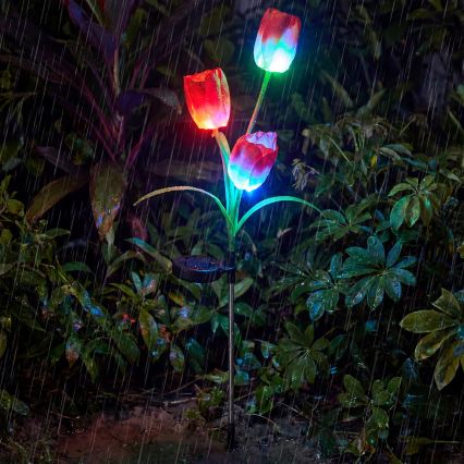 RGB-LED Solar-Dekorationsleuchte 3xLED/3,7V 200 mAh IP44 Tulpe