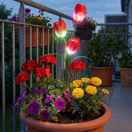 RGB-LED Solar-Dekorationsleuchte 3xLED/3,7V 200 mAh IP44 Tulpe