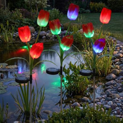 RGB-LED Solar-Dekorationsleuchte 3xLED/3,7V 200 mAh IP44 Tulpe