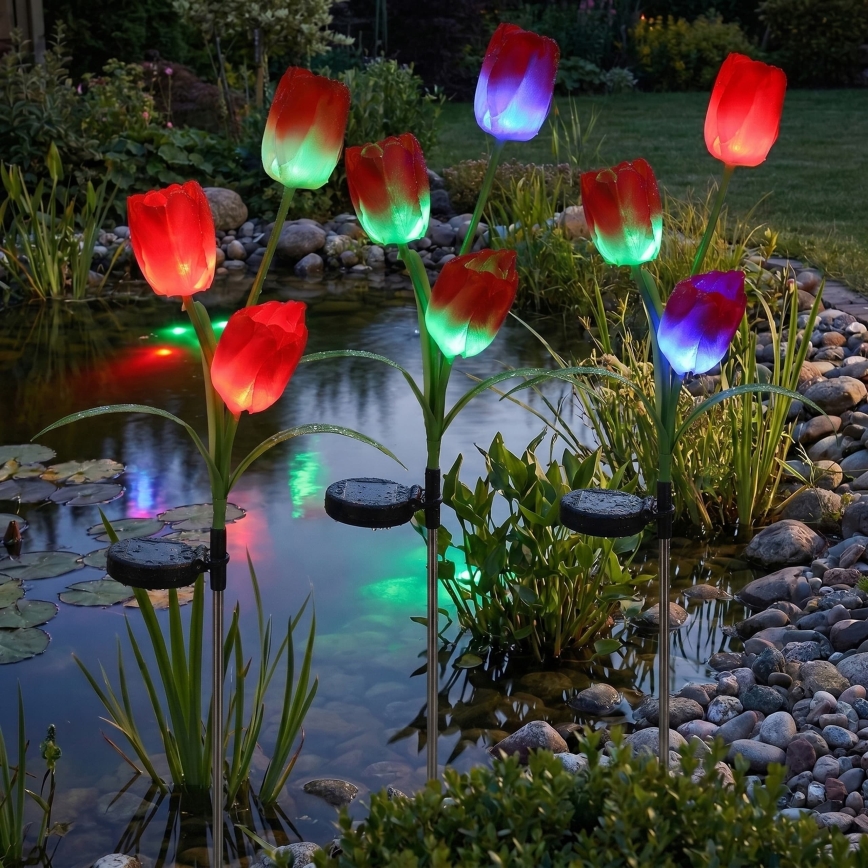 RGB-LED Solar-Dekorationsleuchte 3xLED/3,7V 200 mAh IP44 Tulpe