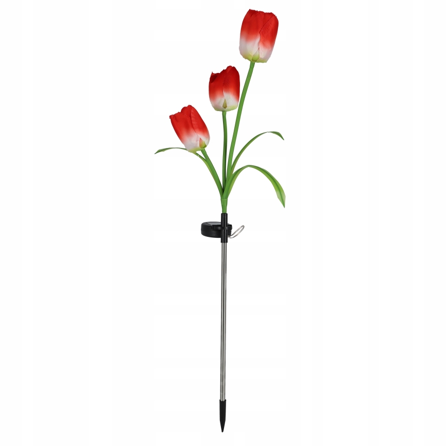 RGB-LED Solar-Dekorationsleuchte 3xLED/3,7V 200 mAh IP44 Tulpe