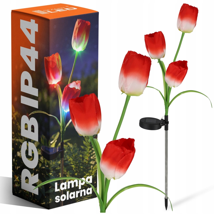 RGB-LED Solar-Dekorationsleuchte 3xLED/3,7V 200 mAh IP44 Tulpe