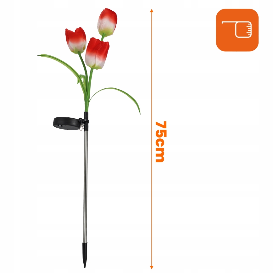 RGB-LED Solar-Dekorationsleuchte 3xLED/3,7V 200 mAh IP44 Tulpe