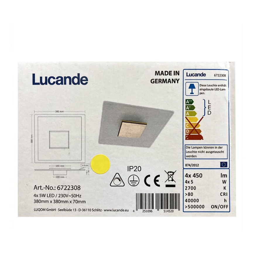Rothfels - Dimmbare LED-Deckenleuchte LOLE 4xLED/5W/230V