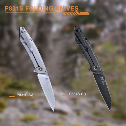 Ruike RUP831SSA - Folding compact Messer 19,5 cm silbern