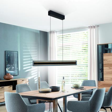 Schöner Wohnen 11316-18 - LED dimmbare Pendelleuchte an Kabel LENA LED/32W/230V schwarz