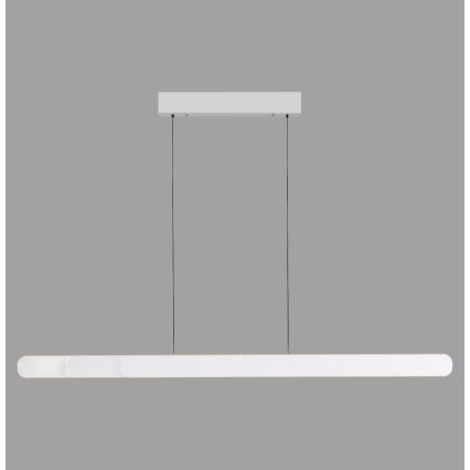 Schöner Wohnen 12577-16 - dimmbare Pendelleuchte an Kabel ADRIANA ROUND 2xLED/24W/230V 2700/3000/3500/4000/5000K weiß