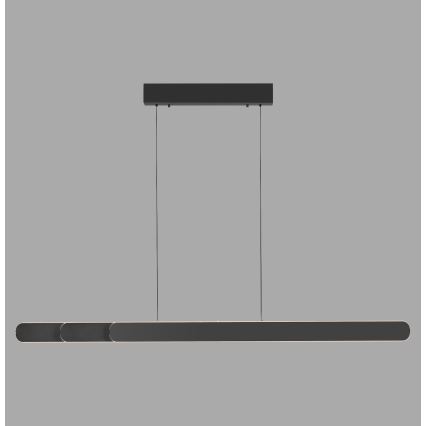 Schöner Wohnen 12577-18 - dimmbare Hängeleuchte mit Seilaufhängung ADRIANA ROUND 2xLED/24W/230V 2700/3000/3500/4000/5000K schwarz