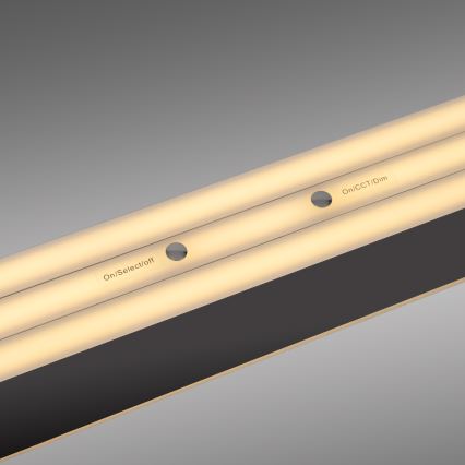 Schöner Wohnen 12577-18 - dimmbare Hängeleuchte mit Seilaufhängung ADRIANA ROUND 2xLED/24W/230V 2700/3000/3500/4000/5000K schwarz