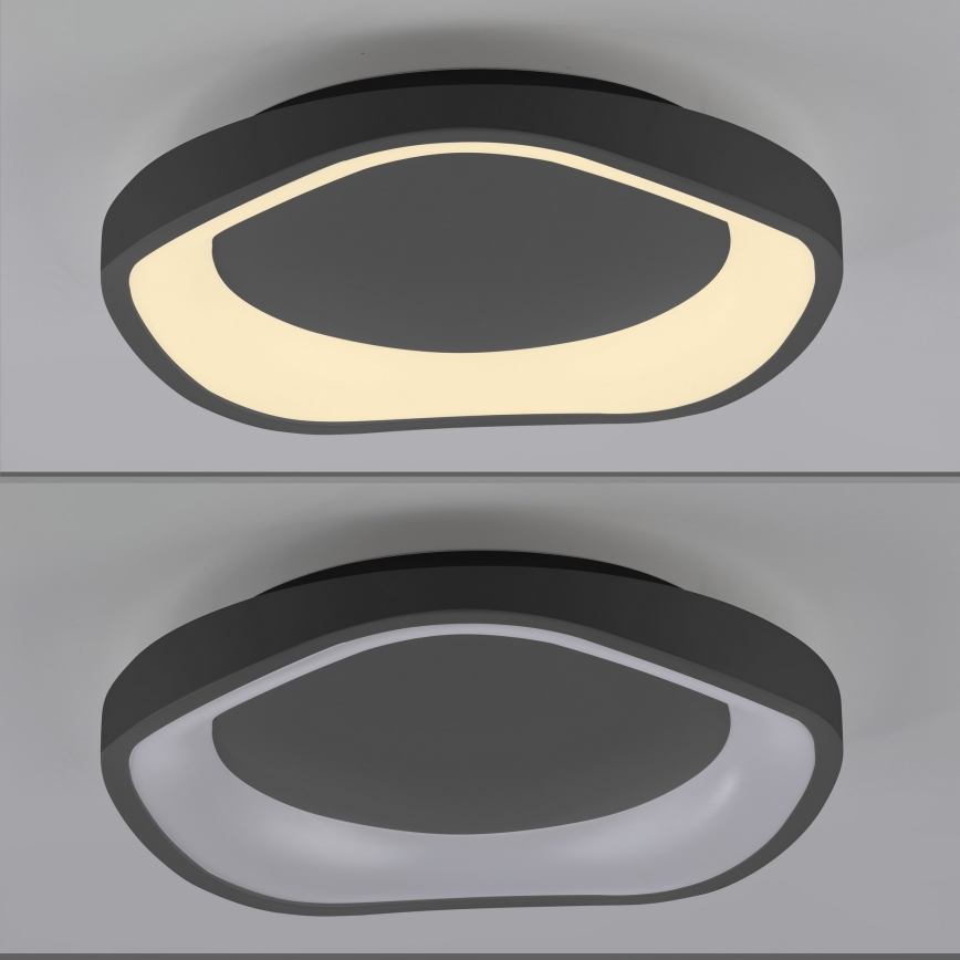 Schöner Wohnen 14233-18 - dimmbare LED-Deckenleuchte MONTA LED/21W/230V Ø 40 cm schwarz