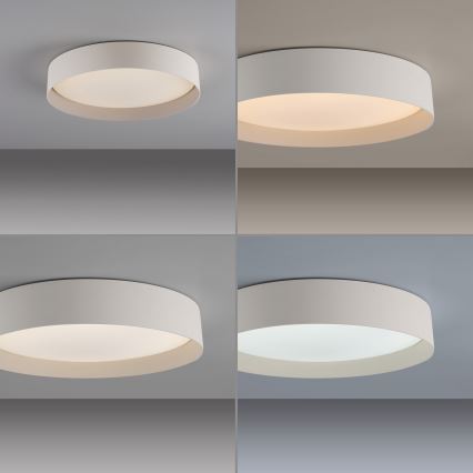 Schöner Wohnen 14594-39 - LED-dimmbare Deckenleuchte TAVOLI LED/20W/230V 2700-6500K Ø 39 cm grau + Fernbedienung