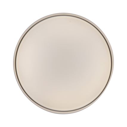 Schöner Wohnen 14594-39 - LED-dimmbare Deckenleuchte TAVOLI LED/20W/230V 2700-6500K Ø 39 cm grau + Fernbedienung