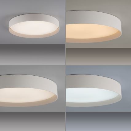 Schöner Wohnen 14595-39 - LED-dimmbare Deckenleuchte TAVOLI LED/34W/230V 2700-6500K Ø 49 cm grau + Fernbedienung