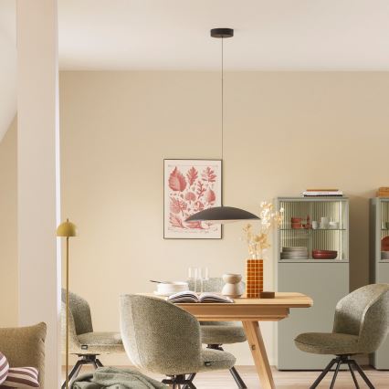 Schöner Wohnen 14606-18 - LED-dimmbarer Pendelleuchter LENTE, LED/17W/230V, Ø 40 cm, schwarz, mit Kabelabhängung