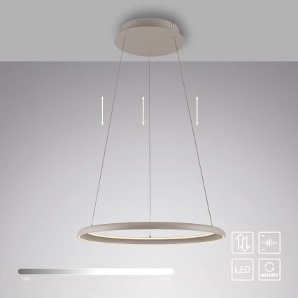 Schöner Wohnen 15570-39 - QUILLO LED-Pendelleuchte, dimmbar, 36W/230V, Ø 60 cm, grau