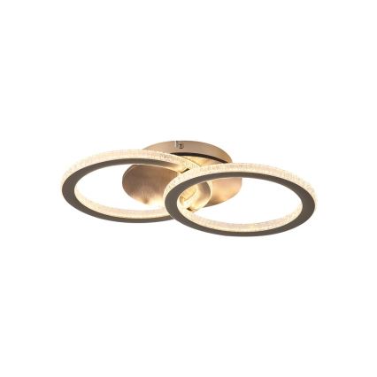 Searchlight - LED-dimmbare Deckenleuchte SPECS LED/24W/230V 3000K 25x42,5 cm