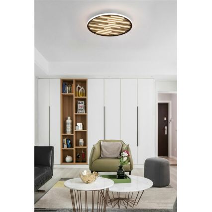 Searchlight - dimmbare LED-Deckenleuchte EQUALISE LED/33W/230V