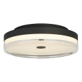 Searchlight - LED-Deckenleuchte CYPRUS LED/29W/230V Ø 40 cm schwarz