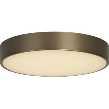 Searchlight - LED-Deckenleuchte PALMA LED/12W/230V 3000K Ø 25 cm bronzefarben