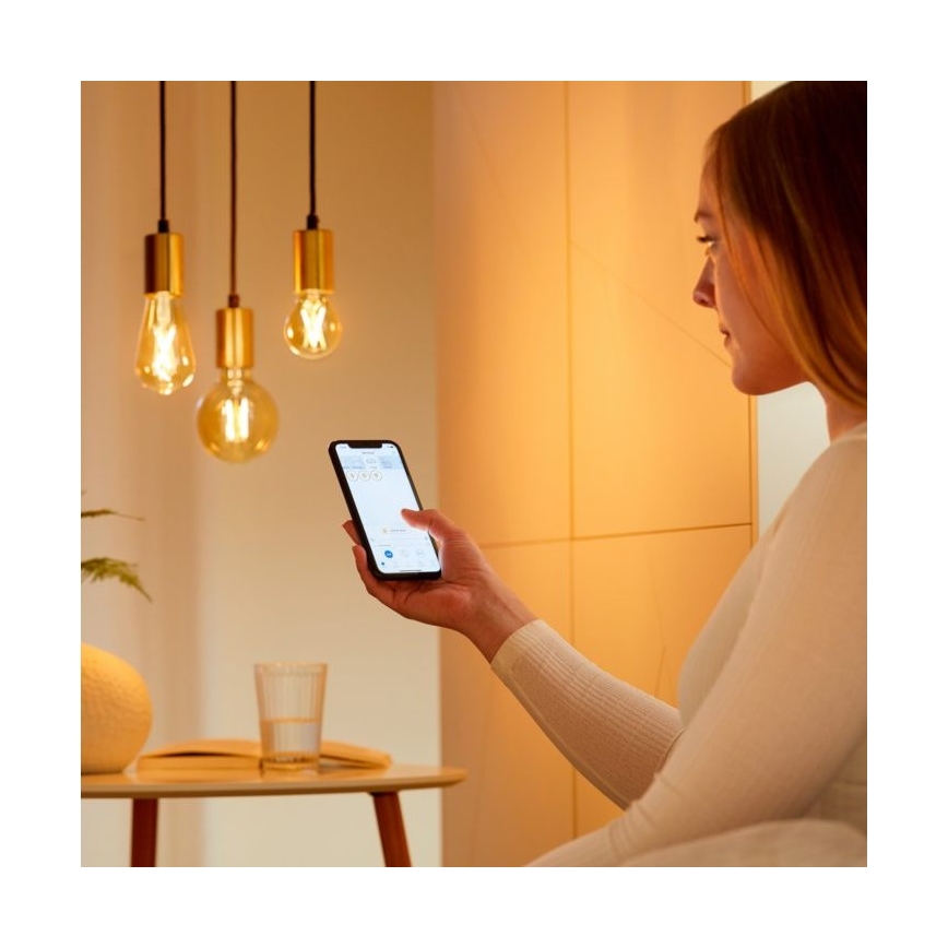 SET 2 x Dimmbare LED-Glühbirne VINTAGE FILAMENT ST64 E27/6,7W/230V 2000-5000K Wi-Fi - WiZ