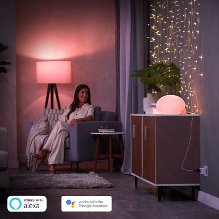 SET 2x Intelligente Steckdose Philips Hue Smart-Stecker