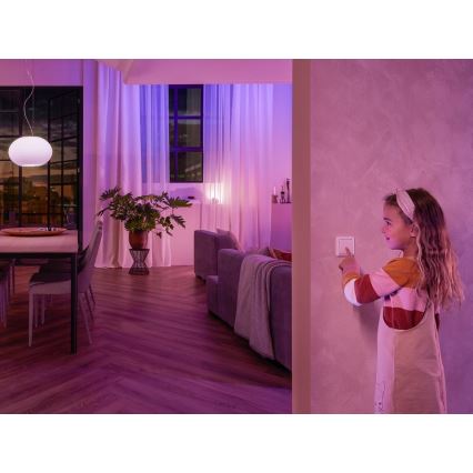 SET 2x Philips Hue Wandschalter-Modul
