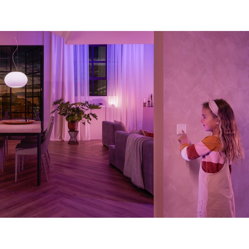 SET 2x Philips Hue Wandschalter-Modul