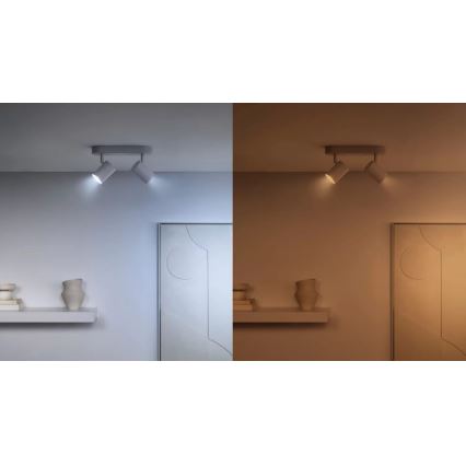 SET 3x Dimmbare LED-RGBW-Lampe PAR16 GU10/4,7W/230V 2200-6500K Wi-Fi - WiZ