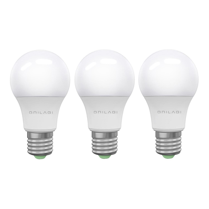 SET 3x LED-Lampe ECOLINE A60 E27/15W/230V 6500K - Brilagi