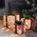 Set 3x LED Weihnachtsgeschenk 48xLED/3,6W/230V IP44 warmweiß
