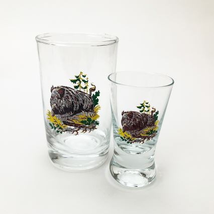 Set 6x Größeres Glas und 6x Kleineres Glas für Shots klar mit Tiermotiven