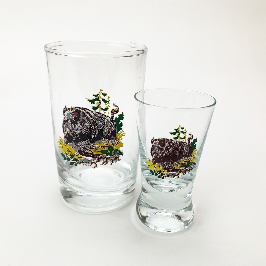 Set 6x Größeres Glas und 6x Kleineres Glas für Shots klar mit Tiermotiven